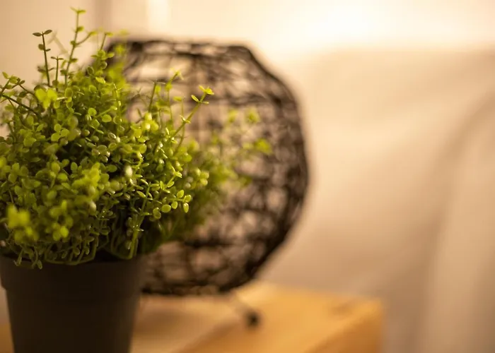 Marea Fuerteventura 2 아파트 코라레호