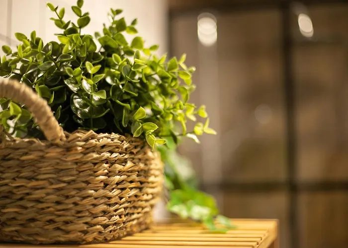 Marea Fuerteventura 2 아파트